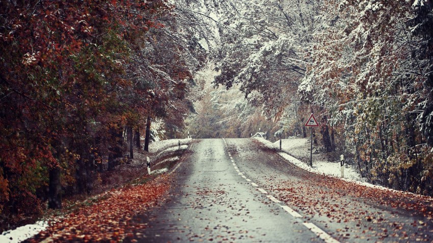 Forest Winter Road Background Full HD Image Photo Free