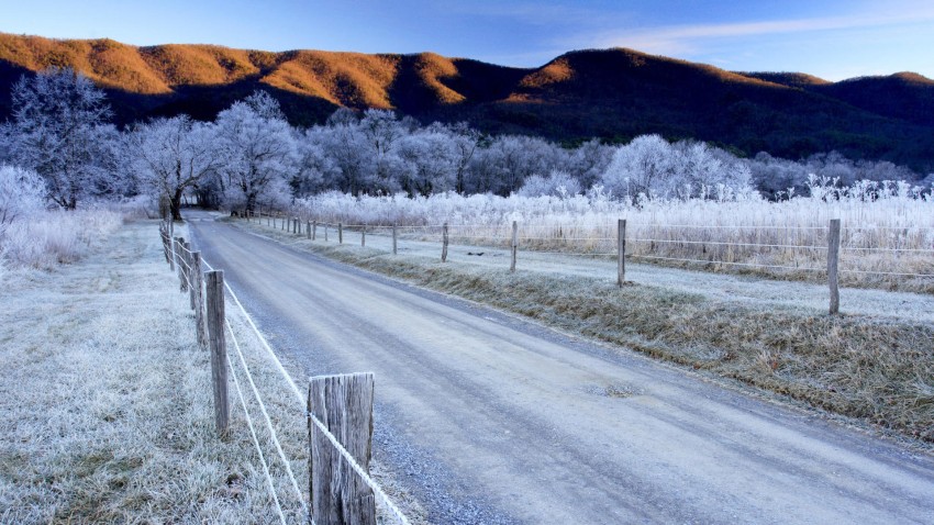 Forest Winter Road Background Full HD Image Photo Free