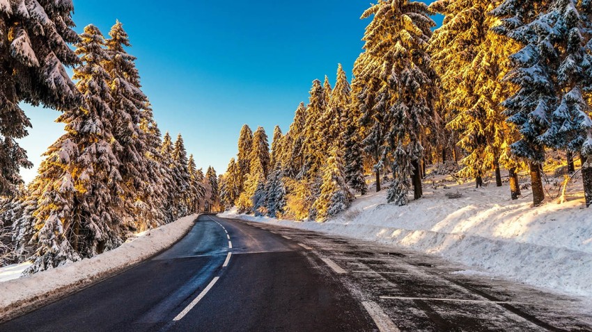 Forest Winter Road Background Full HD Image Photo Free