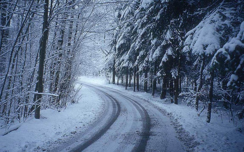 Forest Winter Road Background Full HD Photo Image Free