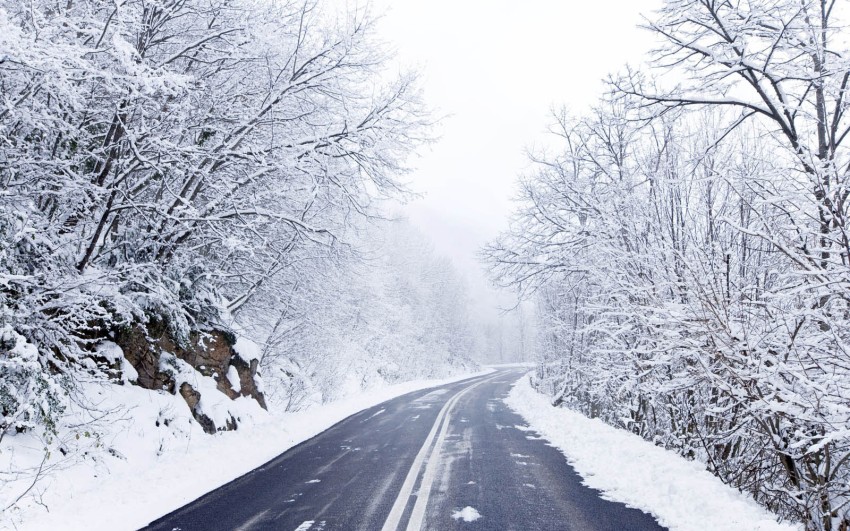 Forest Winter Road Background Full HD Photo Image Free