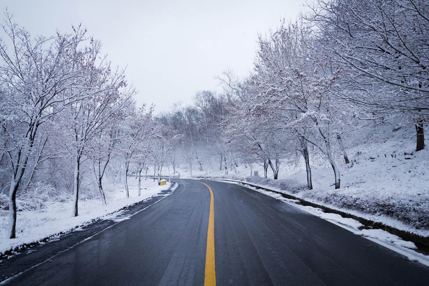 Forest Winter Road Background Full HD Wallpaper Photo