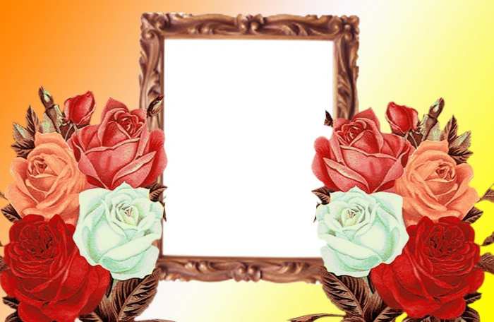 Frame Wedding Marriage Album Background HD