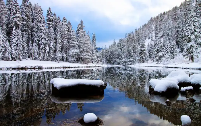 Free Lake Winter Forest Background HD Wallpapers