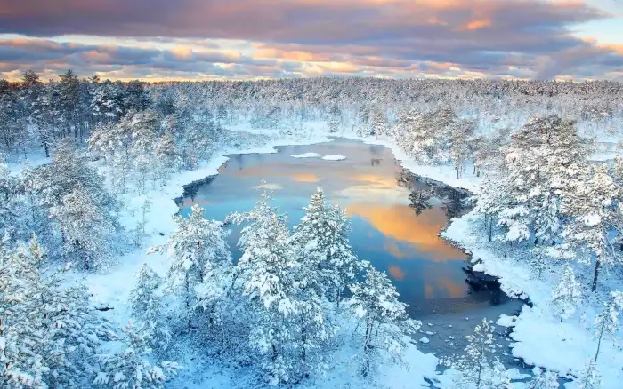 Frozen Lake Winter Forest Background HD Wallpapers