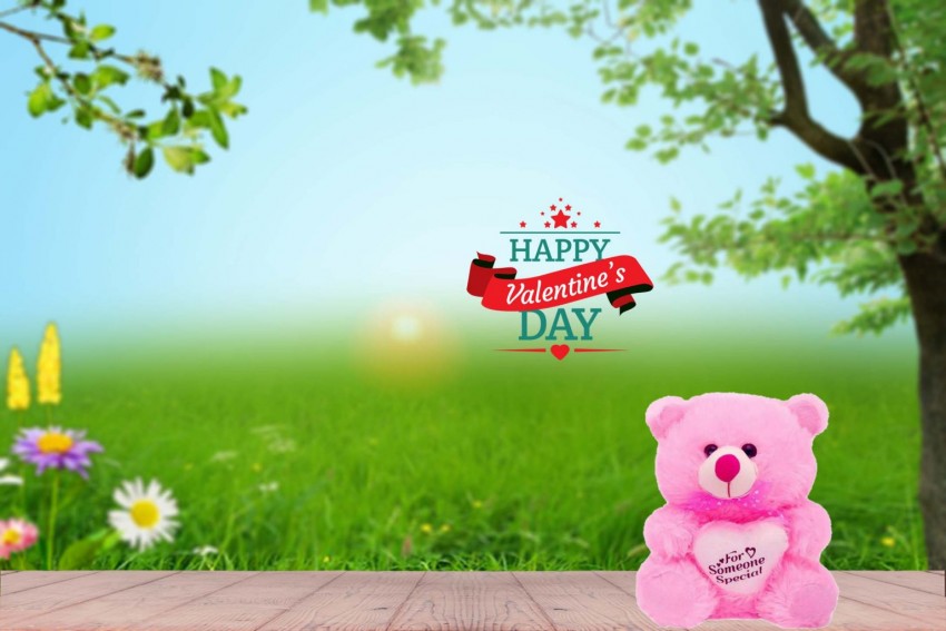 Full Hd Valentine Day Photo Editing Background For Photoshop