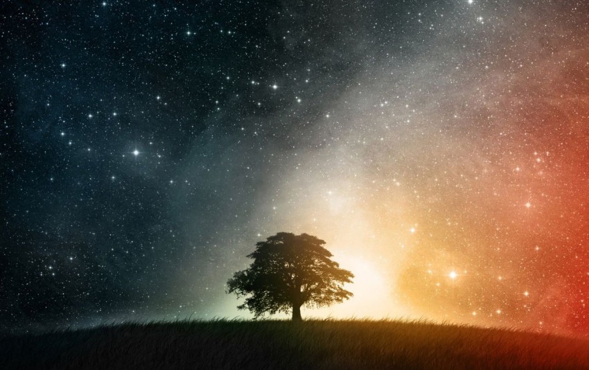 Galaxy Sky With Tree Background HD Download Free