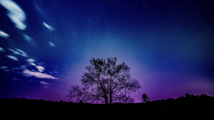 Galaxy Tree Background HD Images Phootos Download