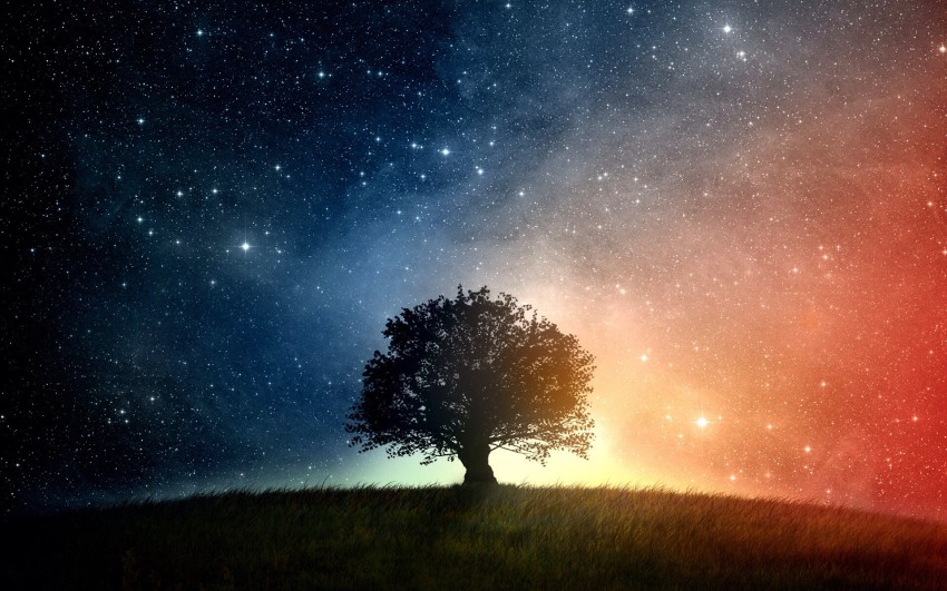 Galaxy Tree Background HD Images Phootos Download