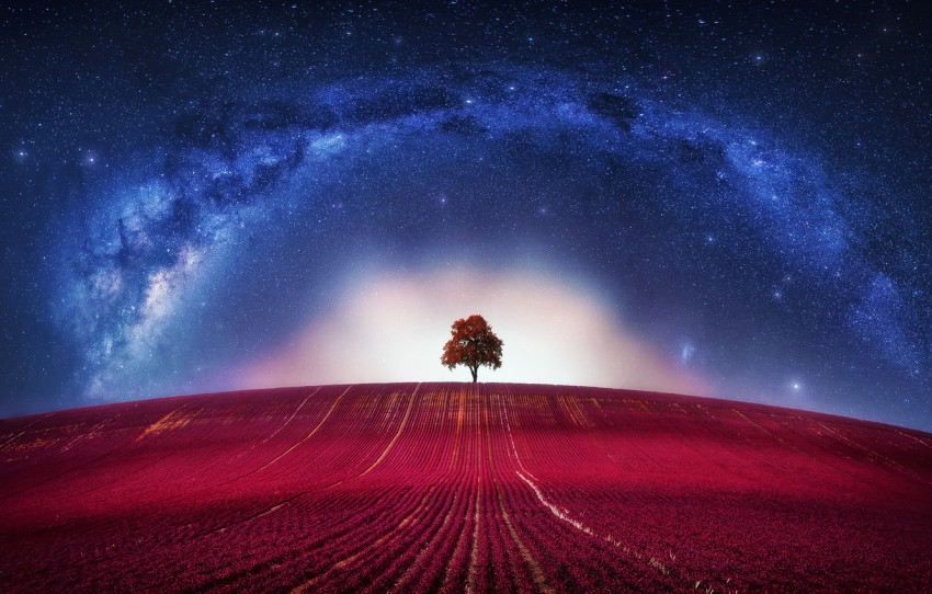 Galaxy Tree Background HD Images Phootos Download