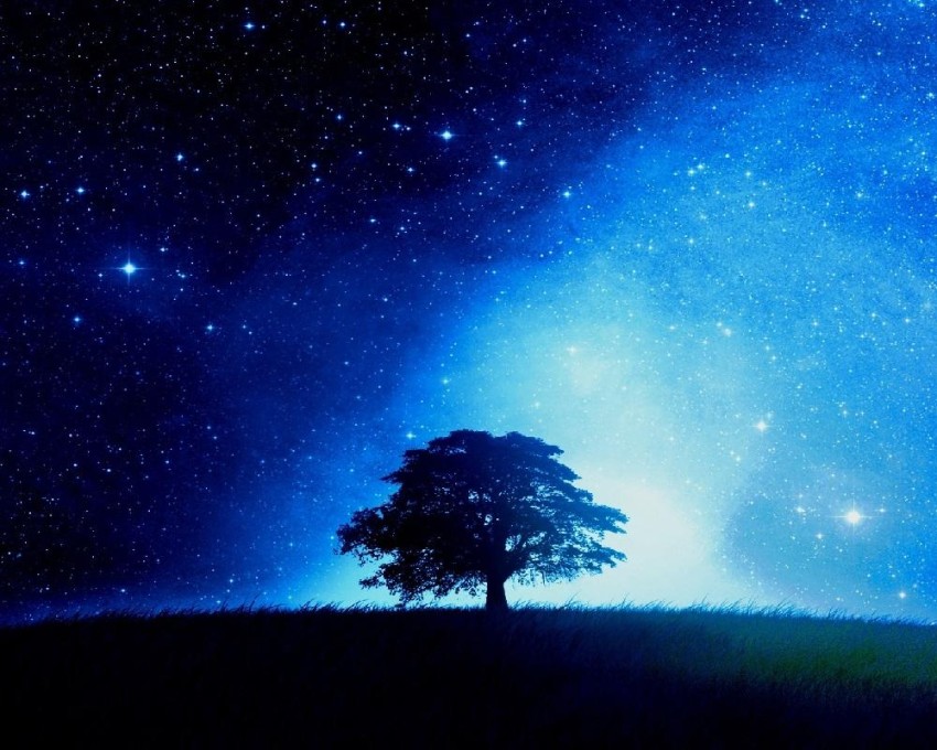 Galaxy Tree Background HD Images Phootos Download