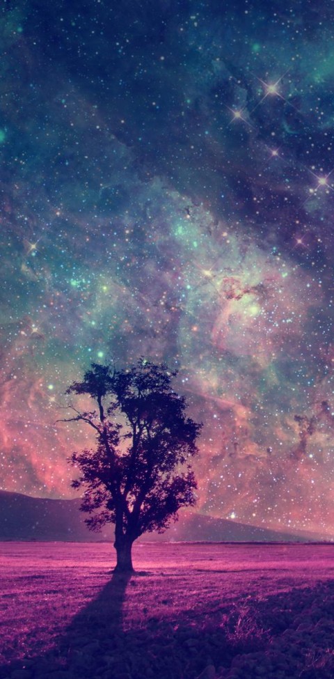 Galaxy Tree Background HD Images Photos Download