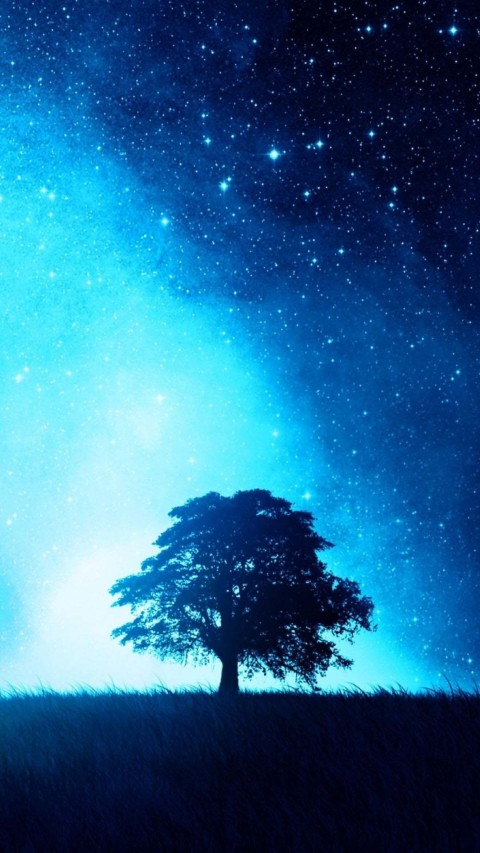 Galaxy Tree Background HD Images Photos Download