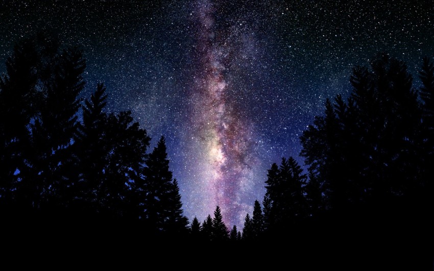 Galaxy Tree Background HD Images Photos Free