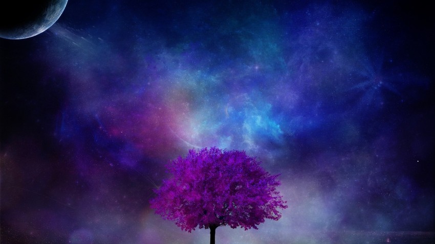 Galaxy Tree Background HD Images Photos Free