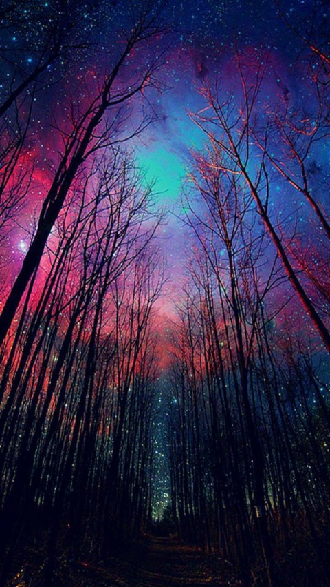 Galaxy Tree Mobile Phone Background HD Download