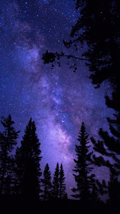 Galaxy Tree Mobile Phone Background HD Download