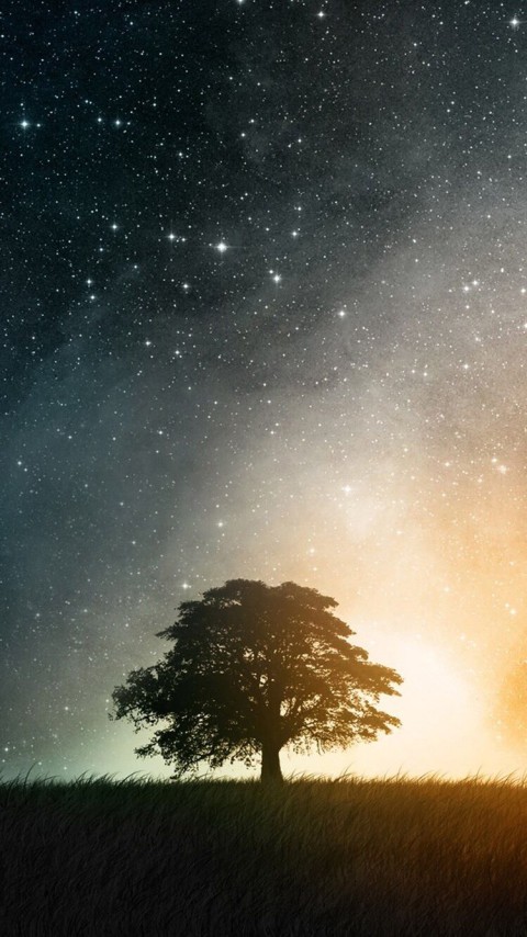 Galaxy Tree Phone Wallpaper Background HD Download