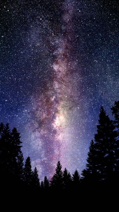 Galaxy Tree Phone Wallpaper Background HD Download