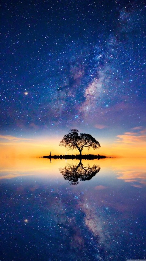 Galaxy Tree Phone Wallpaper Background HD Download