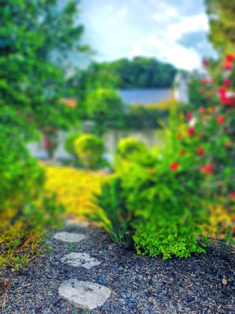 Garden Blurred CB Picsart Editing Background HD Download