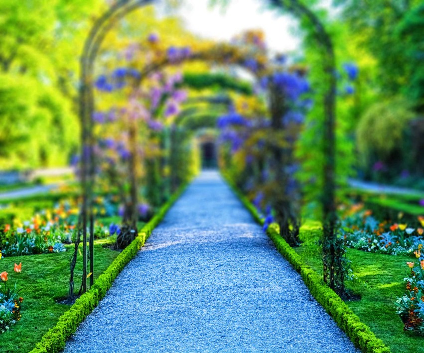 Garden CB  Background HD For Picsart Editing Free