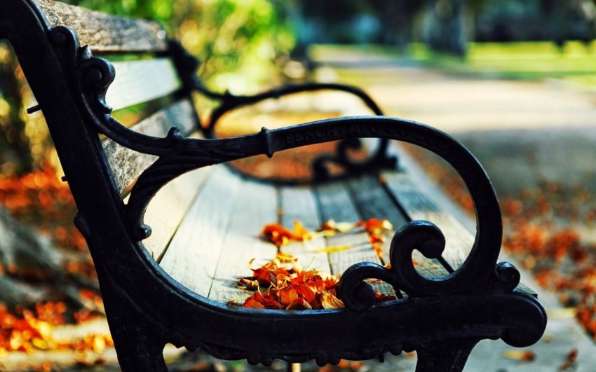 Garden Chair Background Wallpaper Download