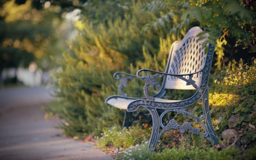 Garden Chair Background Wallpaper Download