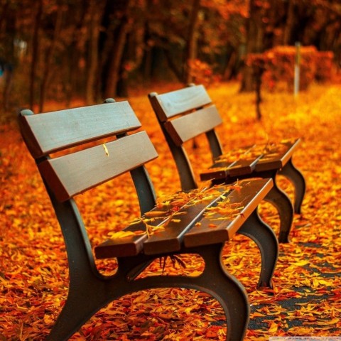 Garden Chair Background Wallpaper Download