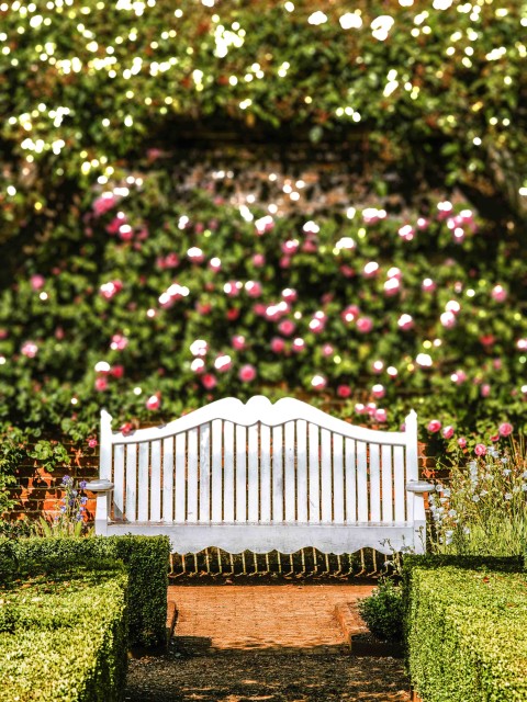 Garden Chair CB Picsart Editing Background HD Download