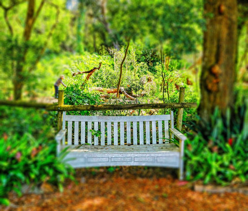 Garden Chair CB Picsart Editing Background HD Download