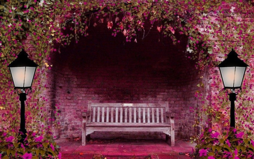 Garden Chair Full HD Background Wallpaper Download