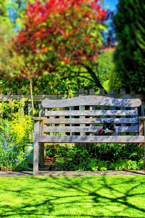 Garden Chair Picsart Editing Background HD Download