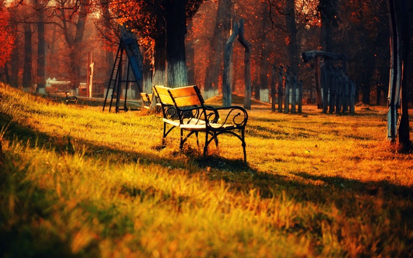 Garden Forest Chair Background Wallpaper Download