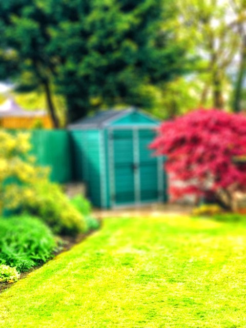 Garden Green Nature CB Background HD Download