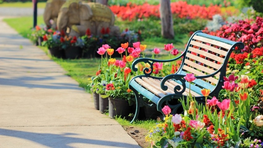 Garden Nature Chair Background Wallpaper Download