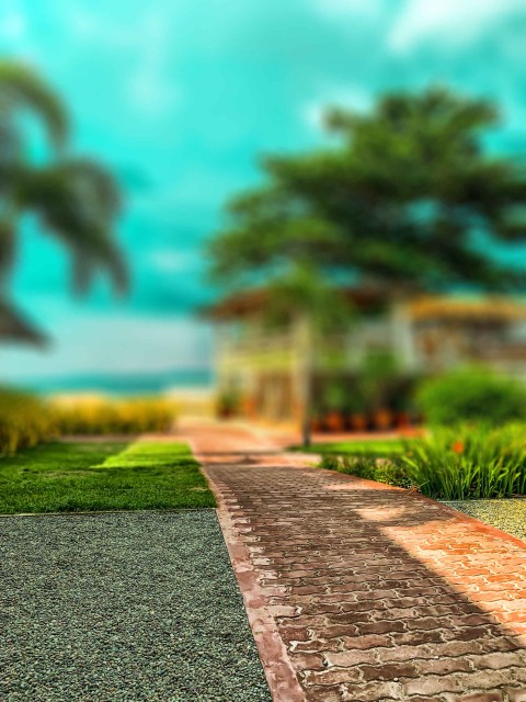 Garden Road CB Picsart Editing Background HD Download