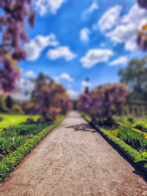 Garden Sky CB Picsart Editing Background HD Download