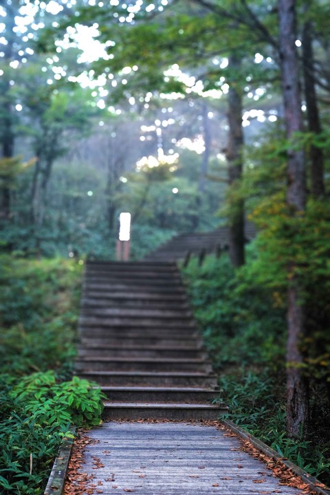 Garden Stairs CB Picsart Editing Background HD Download