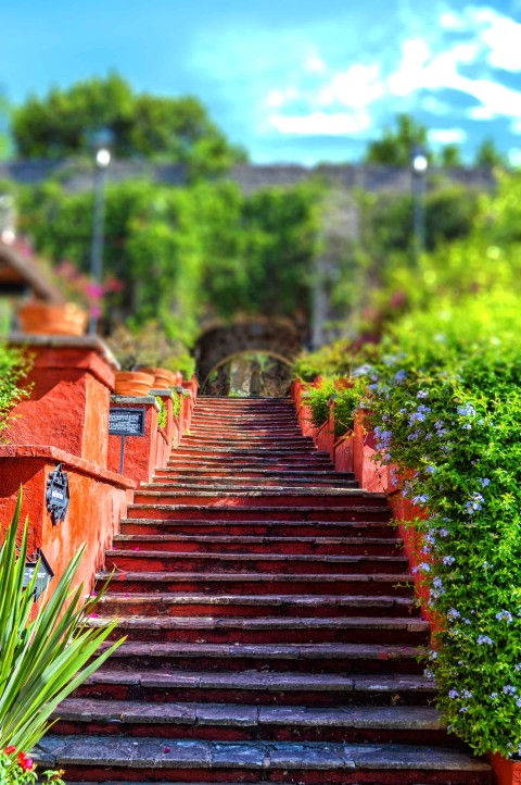 Garden Stairs  Picsart Editing Background HD Download