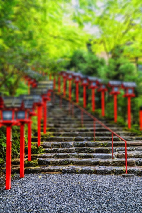 Garden Stairs  Picsart Editing Background HD Download