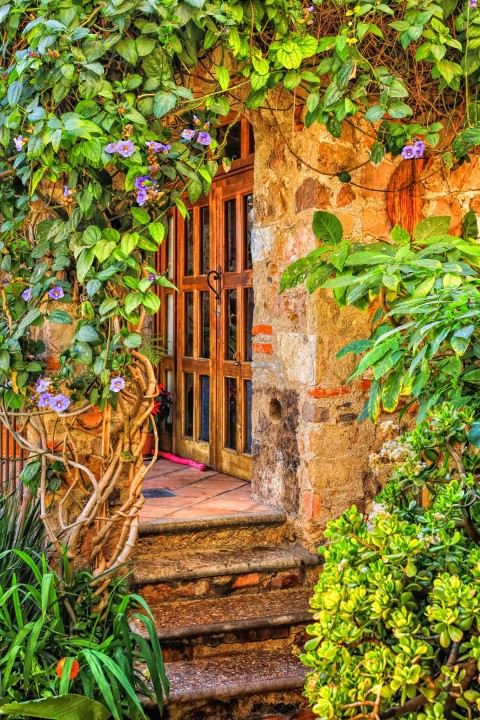 Garden Stairs Picsart Editing Background HD Download