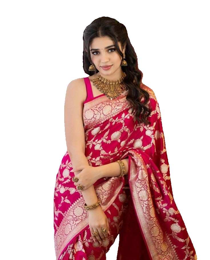 Girl In Heavy Saree PNG Images Download