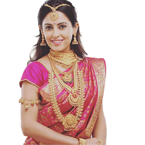 Girl With Saree Transparent PNG Images Download