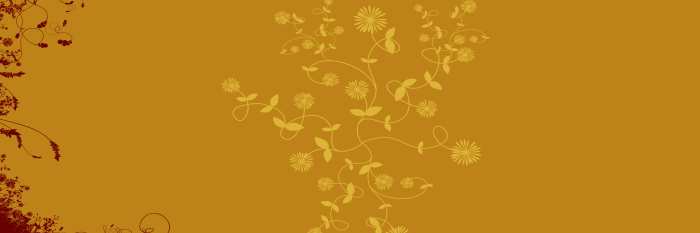 Gold Wedding Marriage Flower Album Background Free