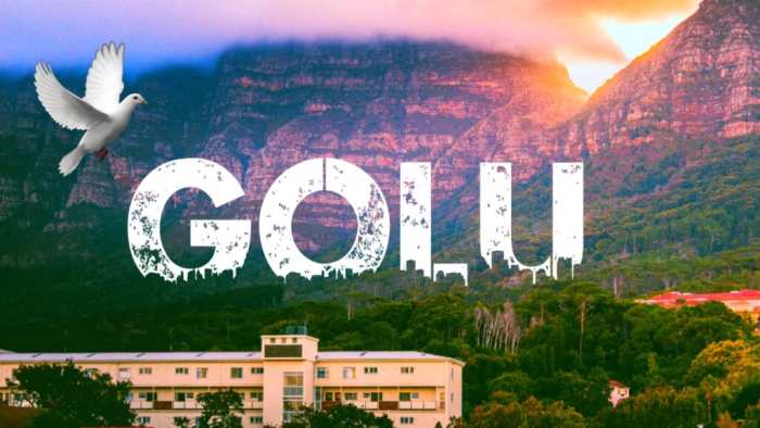 Golu Urban Jungle Picture Image Photo Free Stock Free HD Images