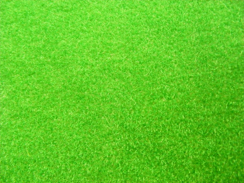 Grass Background High Resolution Photos Download