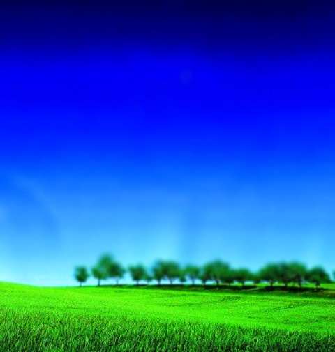 Grass Blue Sky CB Picsart Editing Background Full HD