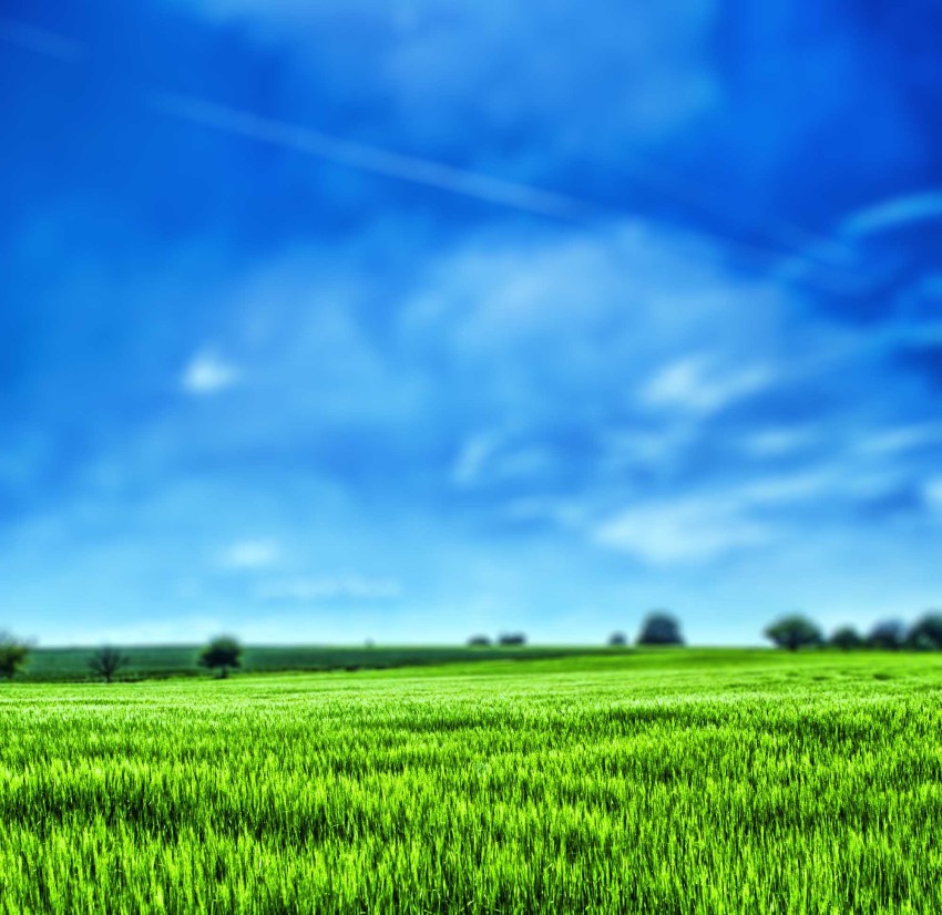 Grass Blue Sky CB Picsart Editing Background Full HD