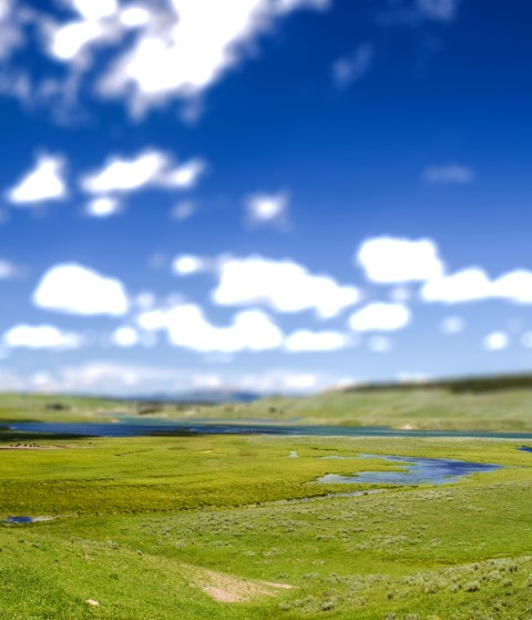 Grass CB  Editing Background Full HD  Download Free